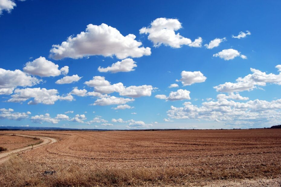 field-clouds-sky-earth-46160-46160.jpg